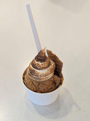 S'mores with toasted meringue.