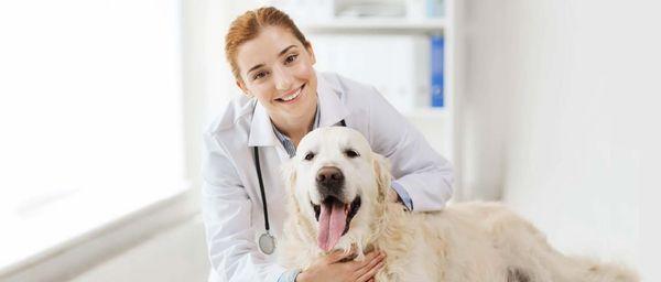 VetGen Pharmaceuticals