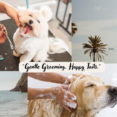 Pawsitively Groomed Pet Salon