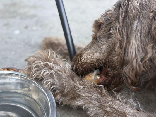 Bully Treat but most being enjoyed so hard to see