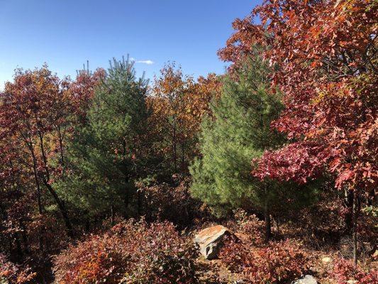 Nice colors from overlook