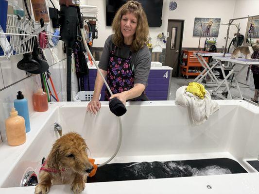 My not too happy pup... but once he's clean and dry, he feels much better