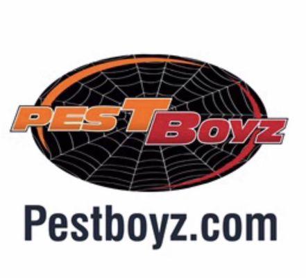 Pestboyz