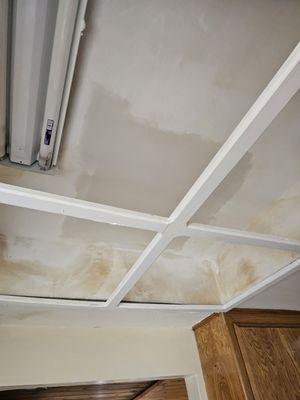 They also do contracting work which was a big bonus because they were able to patch up the giant hole after removing my leaking skylight