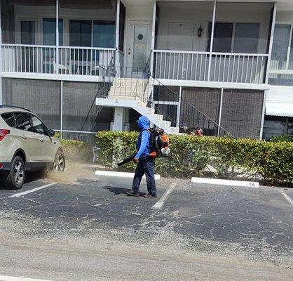 Grass Roots Complete