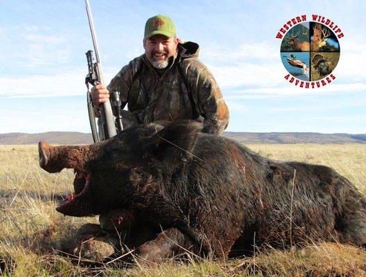 Western Wildlife Adventures