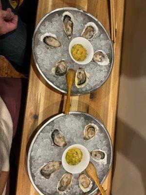 Oysters