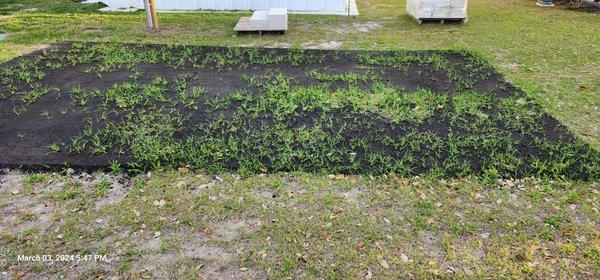 Barely one month after paving by William Eaton and his workers, this is your expected result.