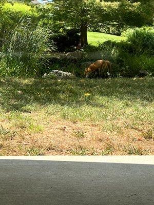 Boulder Springs Columbia