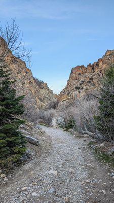 Instagram: @telephonesmoothie