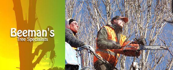 Beeman's Tree Specialists