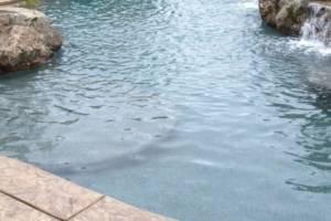 Decorative Concrete Coatings