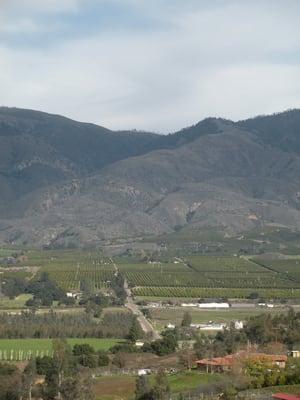 Tierra Miguel Farm and Foundation