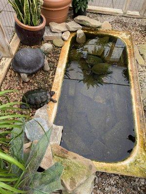 Pender Pines Garden Center