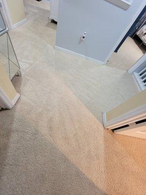 Cleaning Wave Service