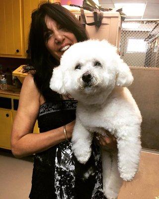 Camillus Hills Golden Pet