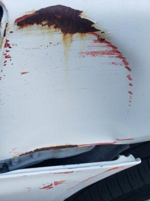 European Auto Clinic