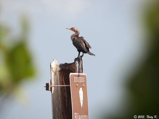 Biscayne Park Sailing
