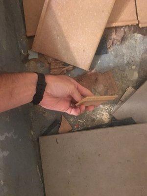 Broken tiles on the "shower" floor