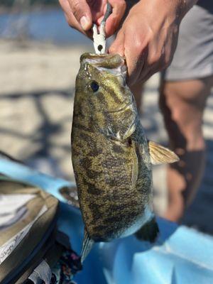 Smallmouth