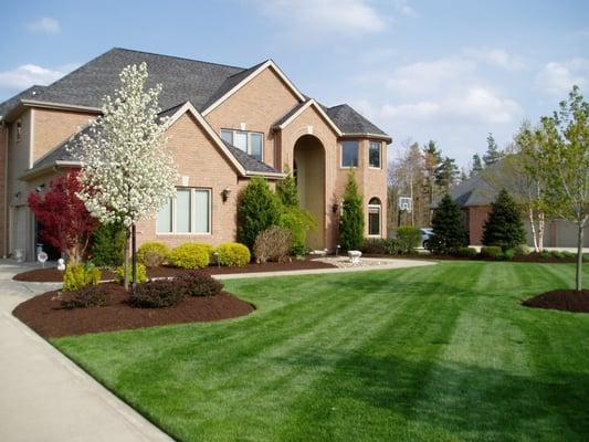 Smart Scapes Landscaping