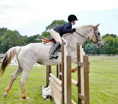 Twin Willows Stables