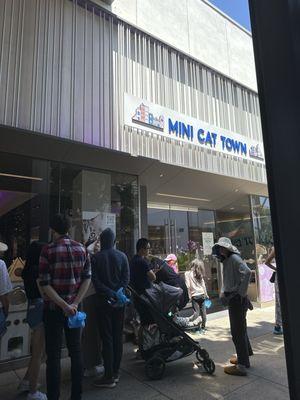 Line for grand opening