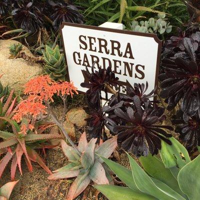 Serra Gardens Landscape Succulents