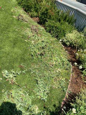 O. Chavez's Landscaping