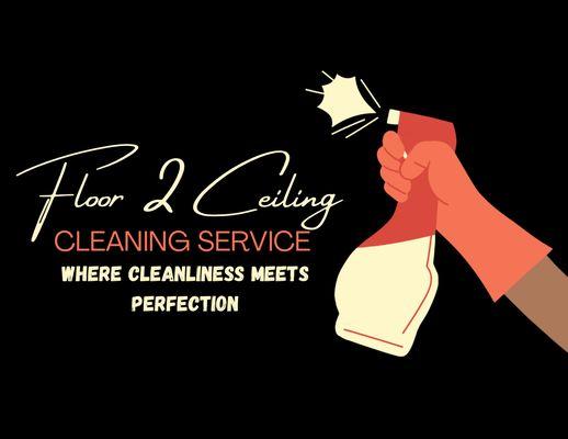Floor 2 Ceiling Cleaning