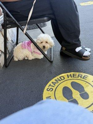 Centinela Animal Hospital