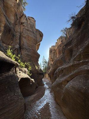 Willis Creek Narrows