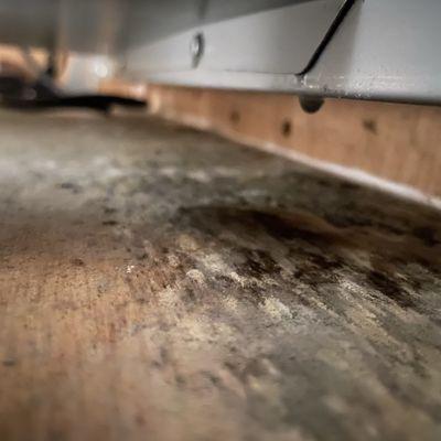 Mold due to ductwork/damper damage during siding replacement.