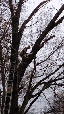 K&L Landscaping & Tree Service