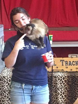 Little Wonders Montessori One