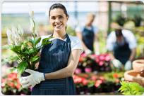 Ronald M Schulkin, CPA APC