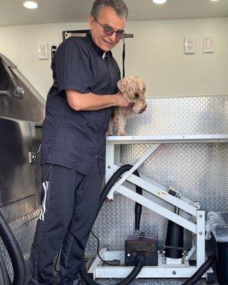 tito's dog grooming