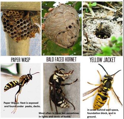 Abhayagiri Buddhist Monastery