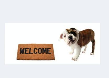 Council Bluffs Veterinary Clinic