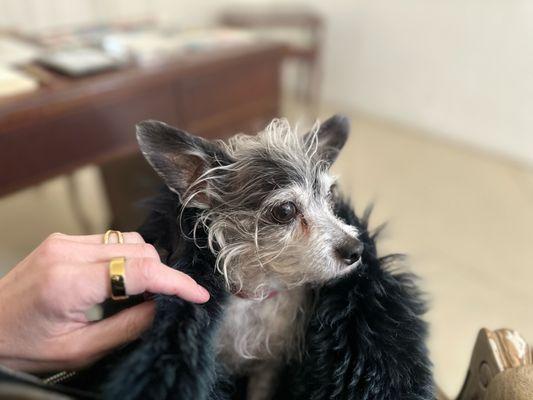 King of my heart (but me and my pup so no to kings otherwise.)