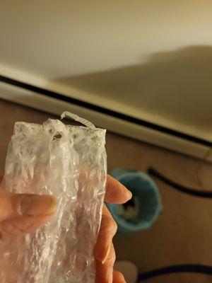 Wellness Lab Nutrition