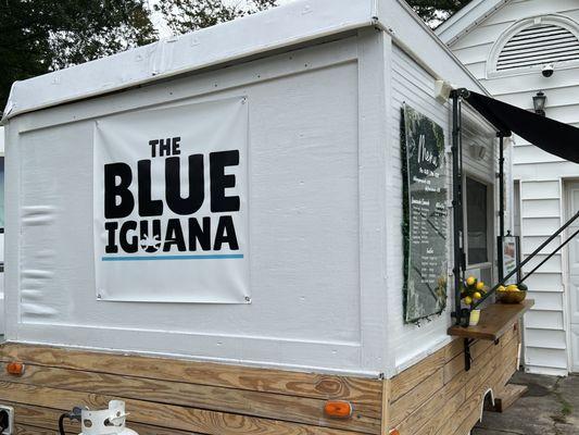The Blue Iguana