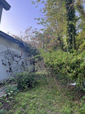 Daugherty Tree Service