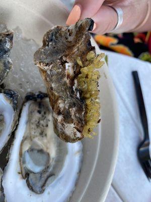 The Boat Yard Waterfront Bar And Grill At Tobay Beach