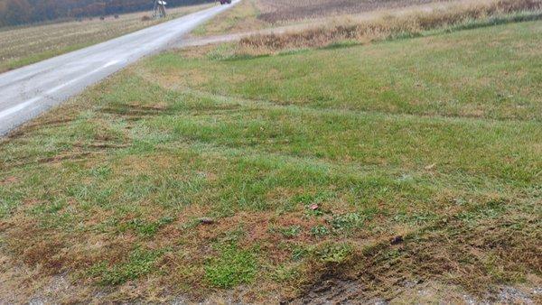 Eastern Shore Forest Products