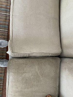 Daisy Fresh Cleaning Company