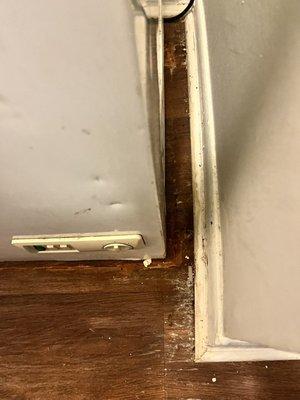 Westminster Management Co