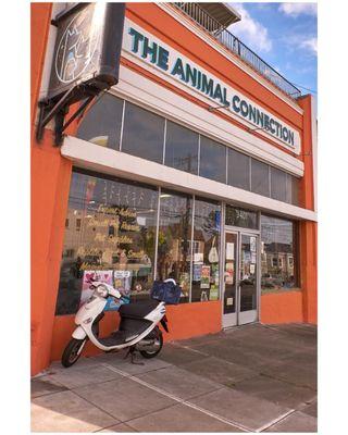 The Animal Connection