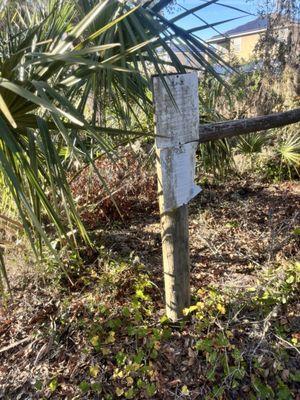 Golden Aster Scrub Nature Preserve