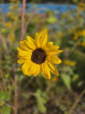 Miller’s Landing Park